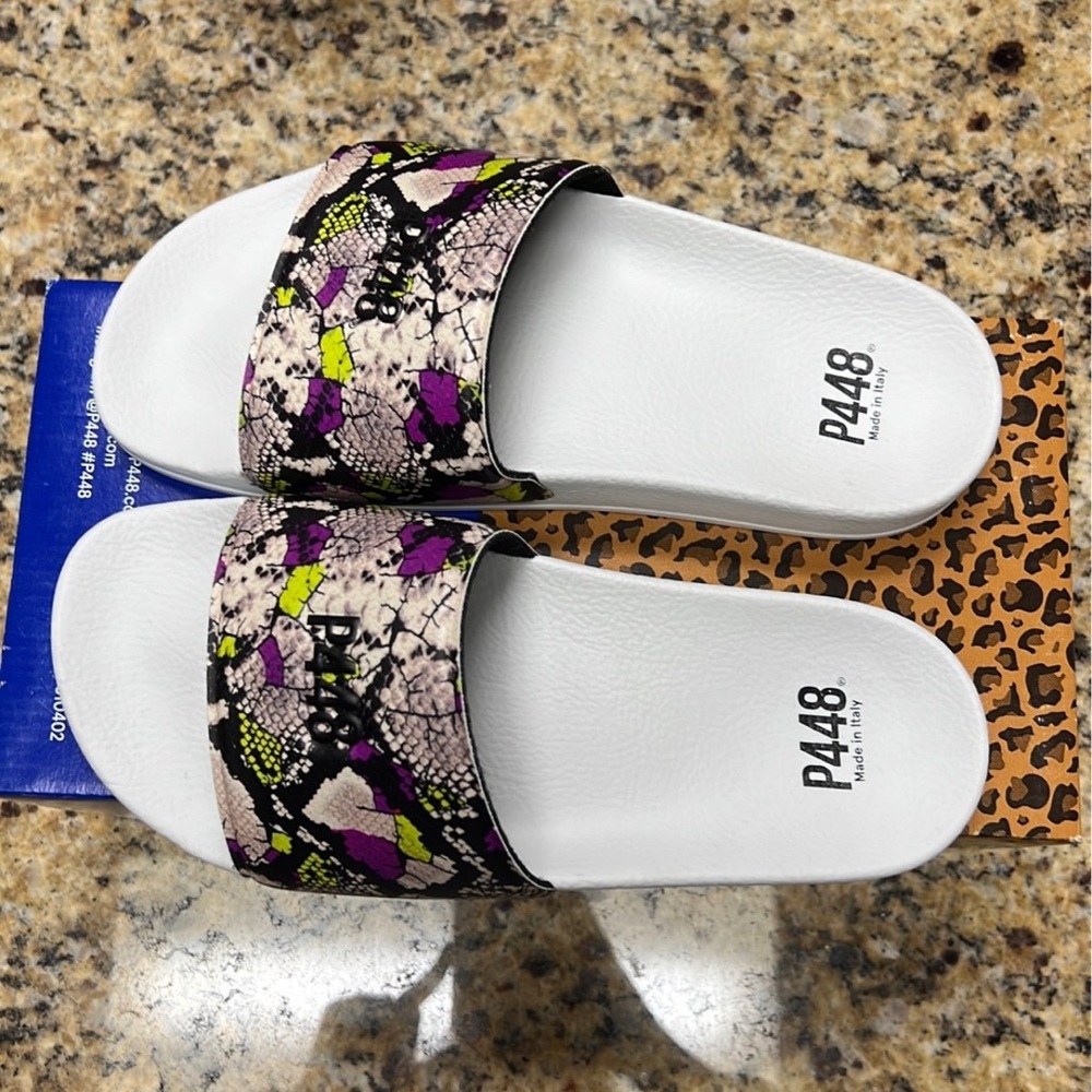 P448 Slides